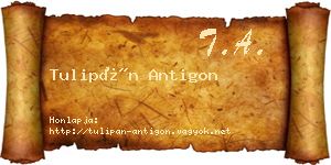 Tulipán Antigon névjegykártya